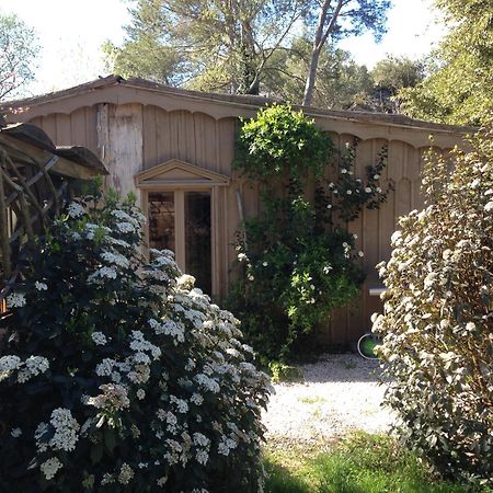 Cabane De La Leque Fontvieille Kültér fotó