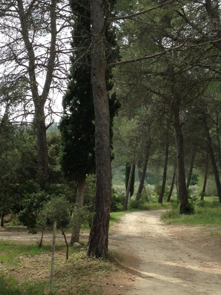 Cabane De La Leque Fontvieille Kültér fotó