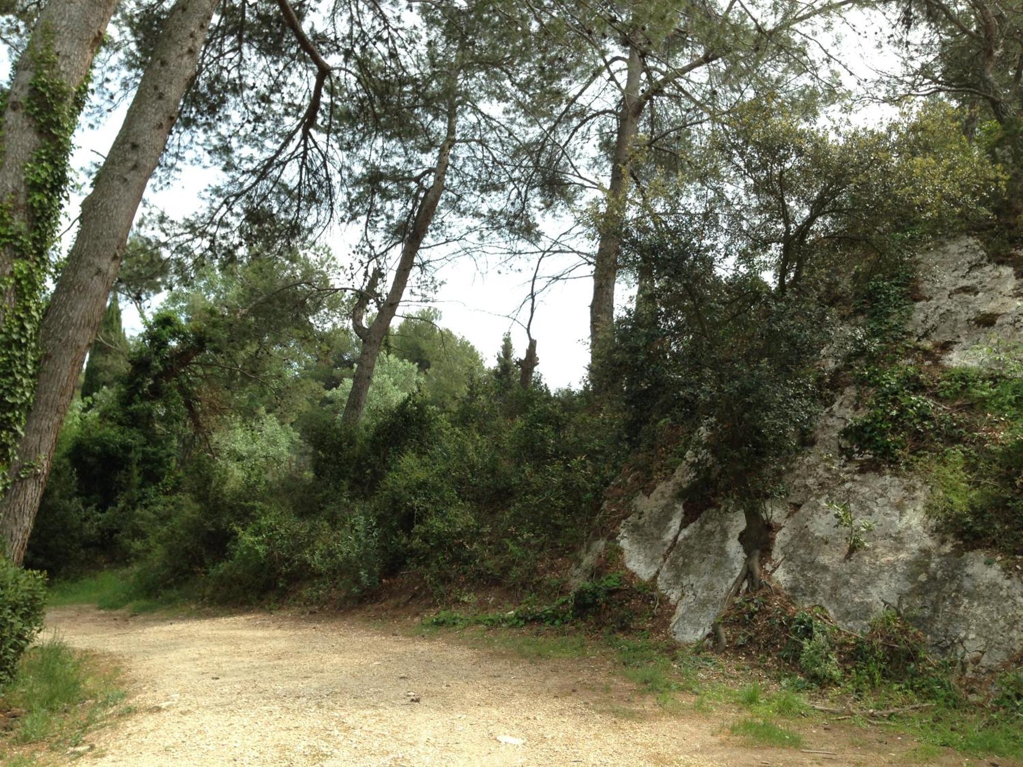 Cabane De La Leque Fontvieille Kültér fotó