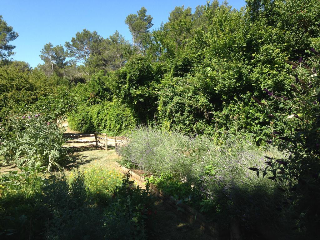 Cabane De La Leque Fontvieille Kültér fotó